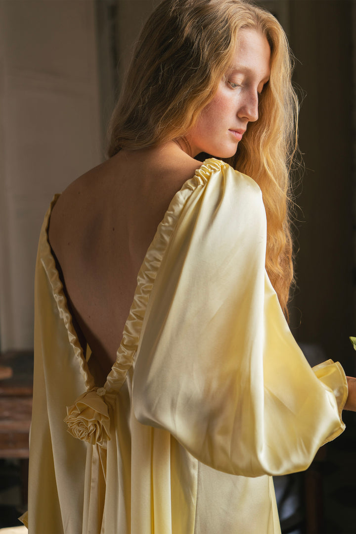 Tuscan Glow V-Back Silk Gown